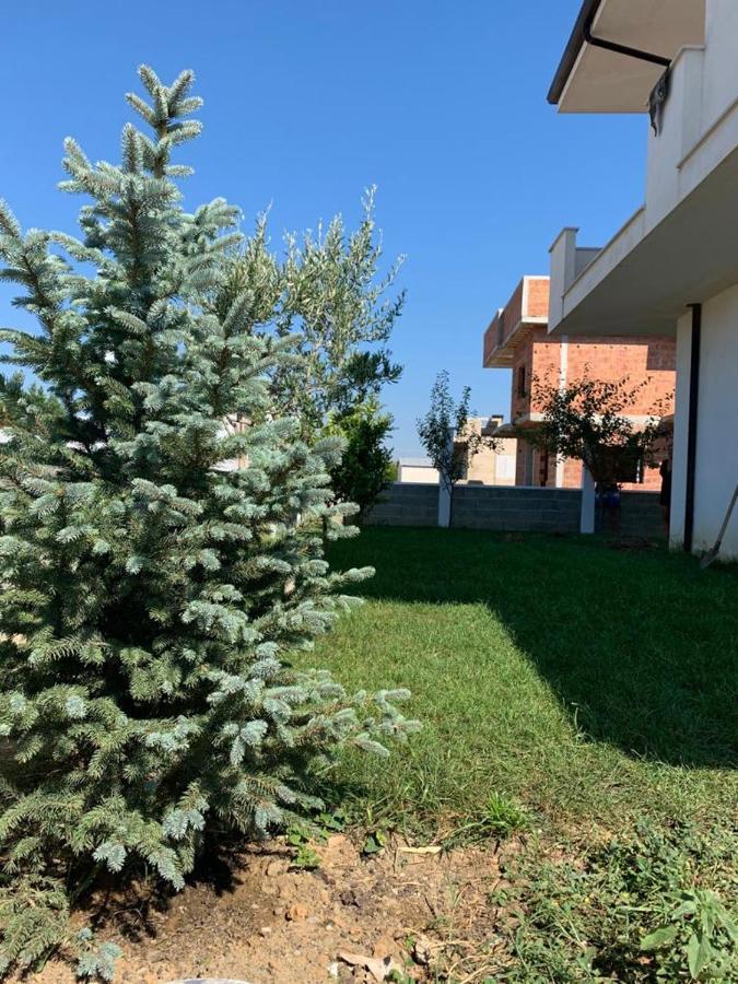 The Quiet Place Hamallaj Exterior foto